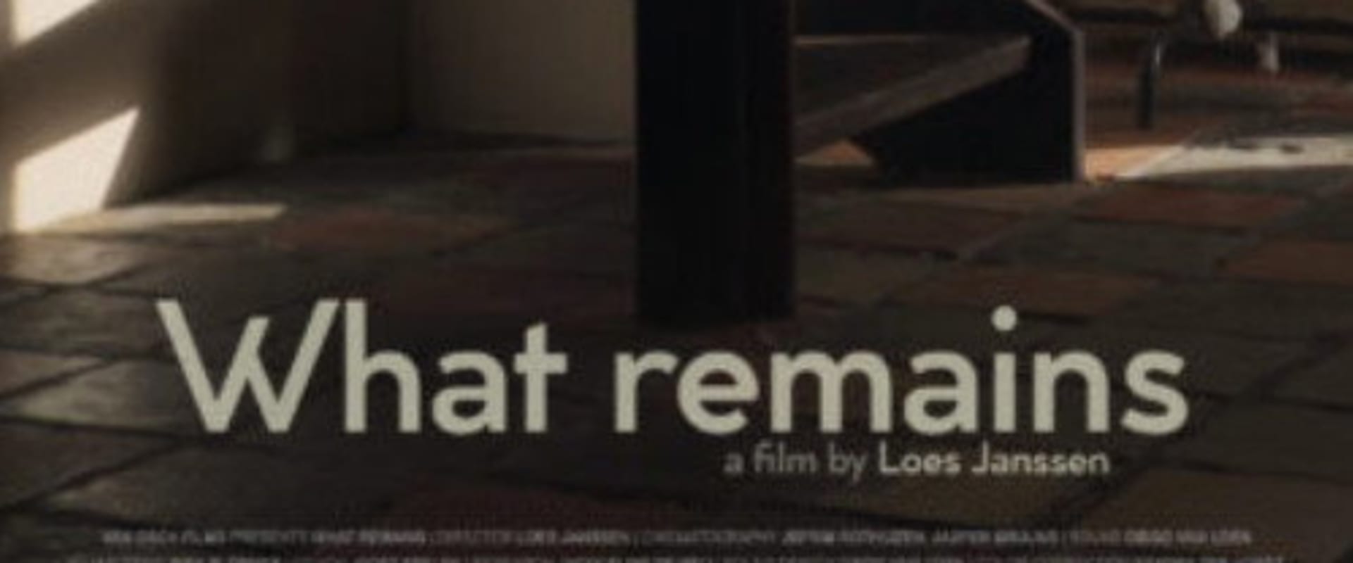 Documentary backdrop image for What Remains (2020)