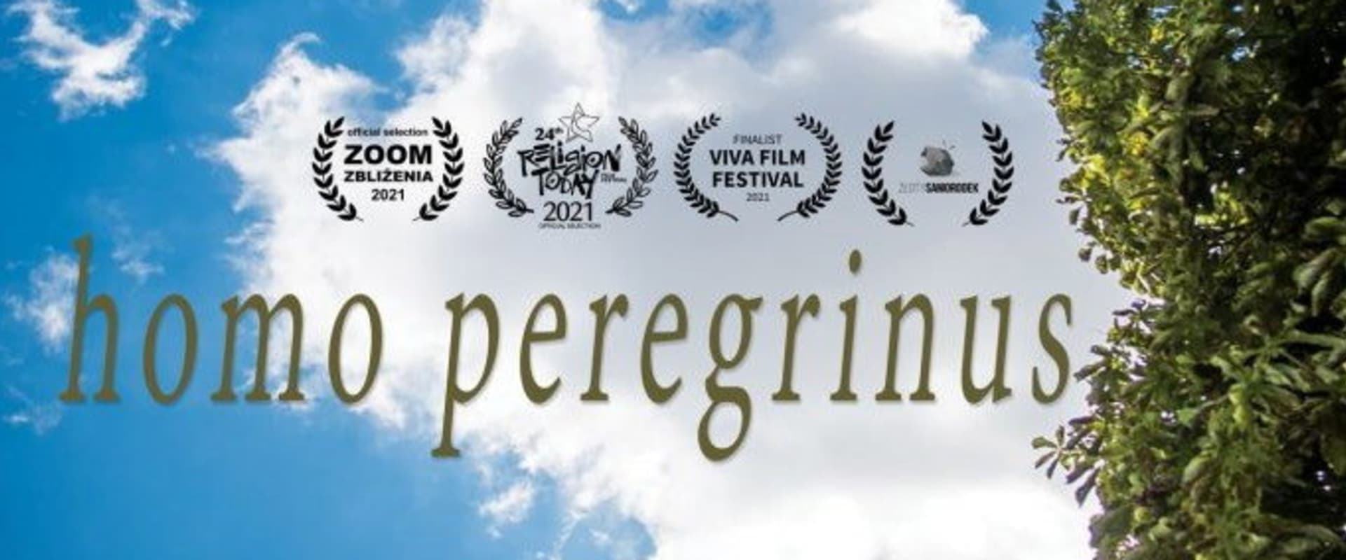 Documentary backdrop image for Homo Peregrinus (2021)
