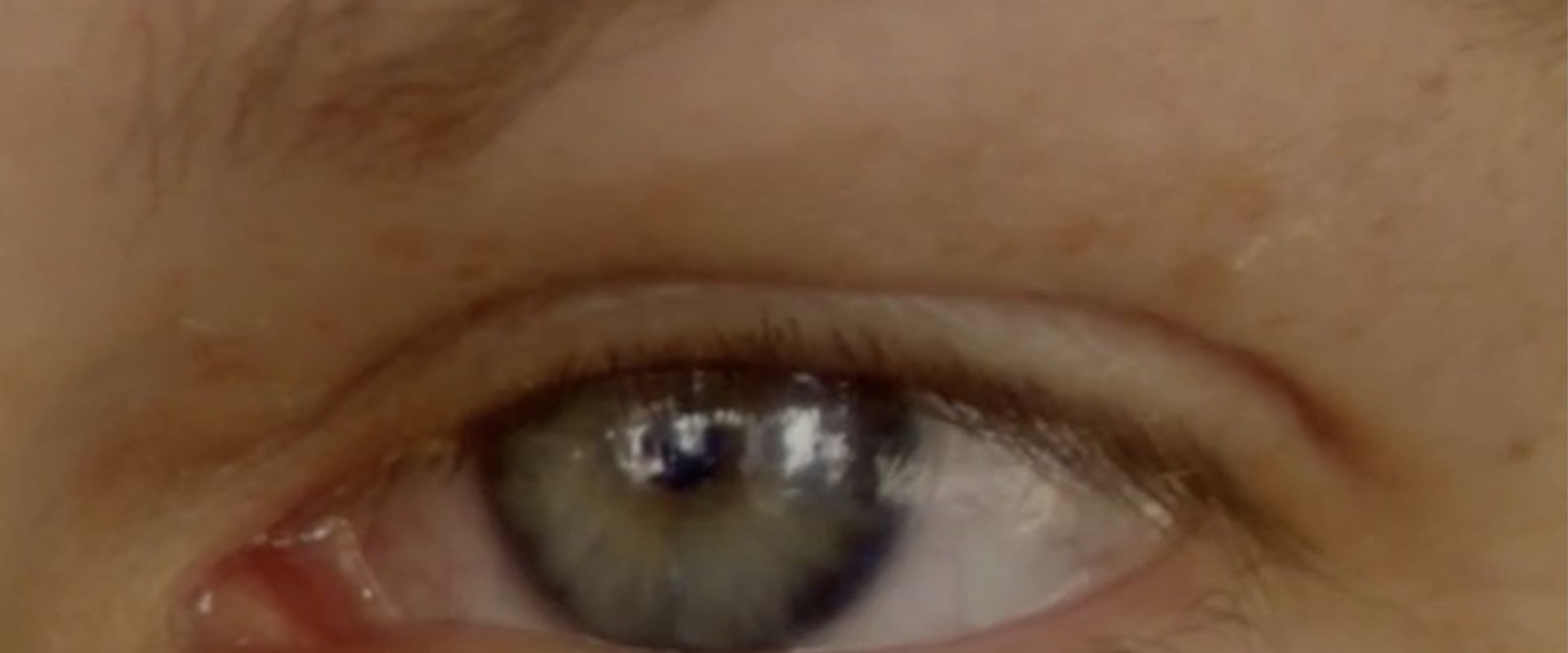 Documentary backdrop image for AA (2022)