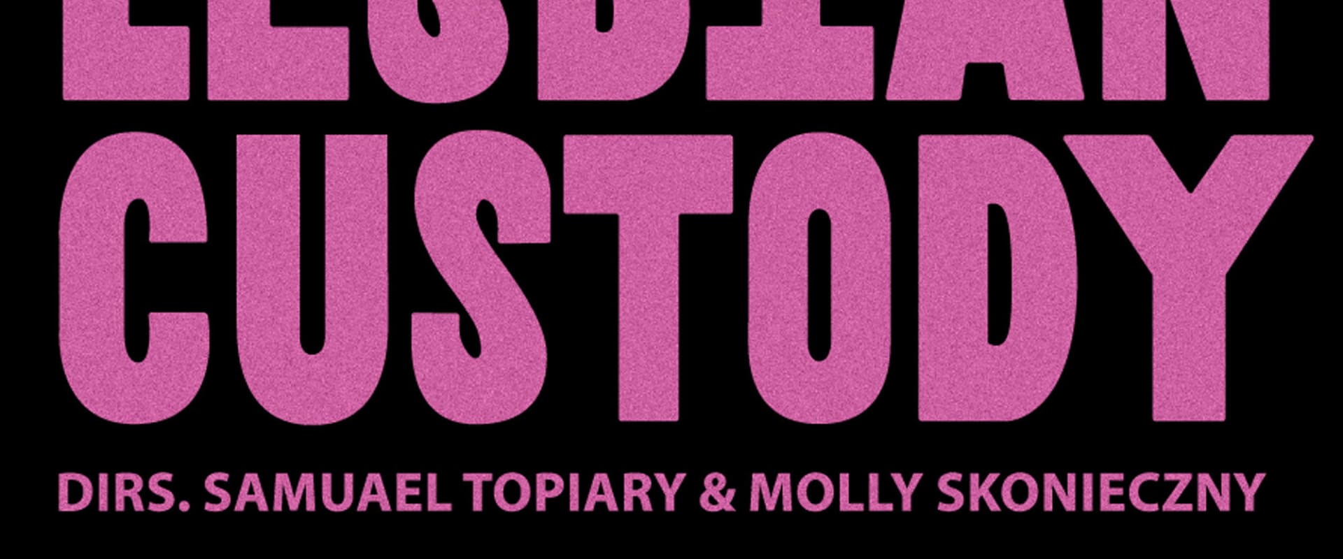 Documentary backdrop image for Lesbian Custody (2025)