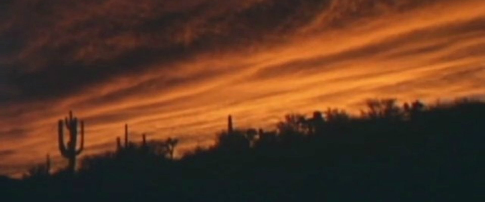 Documentary backdrop image for Dead Horse Point (2006)