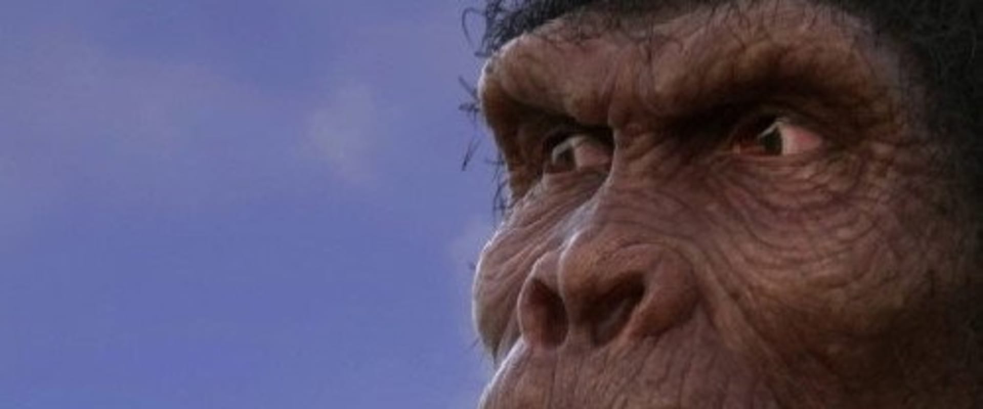 Documentary backdrop image for Evolution from ape to man (2017)