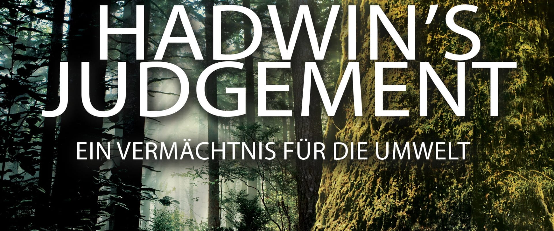 Documentary backdrop image for Hadwin's Judgement (2015)