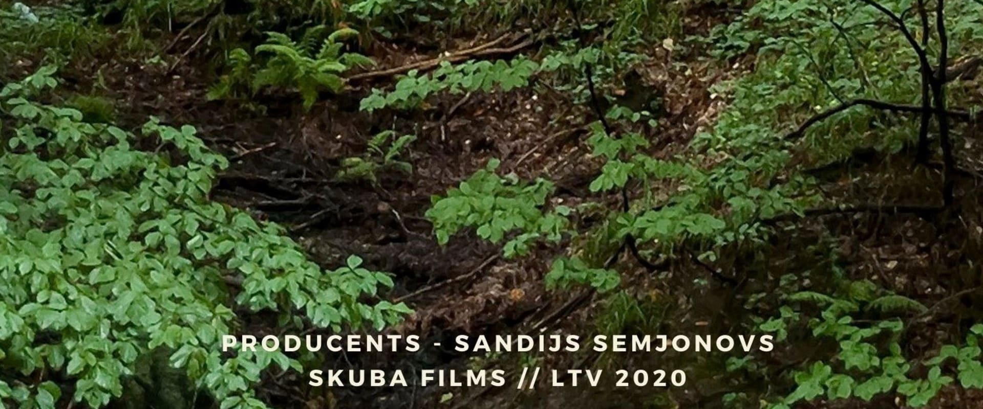 Documentary backdrop image for Mr Black Stork (2020)