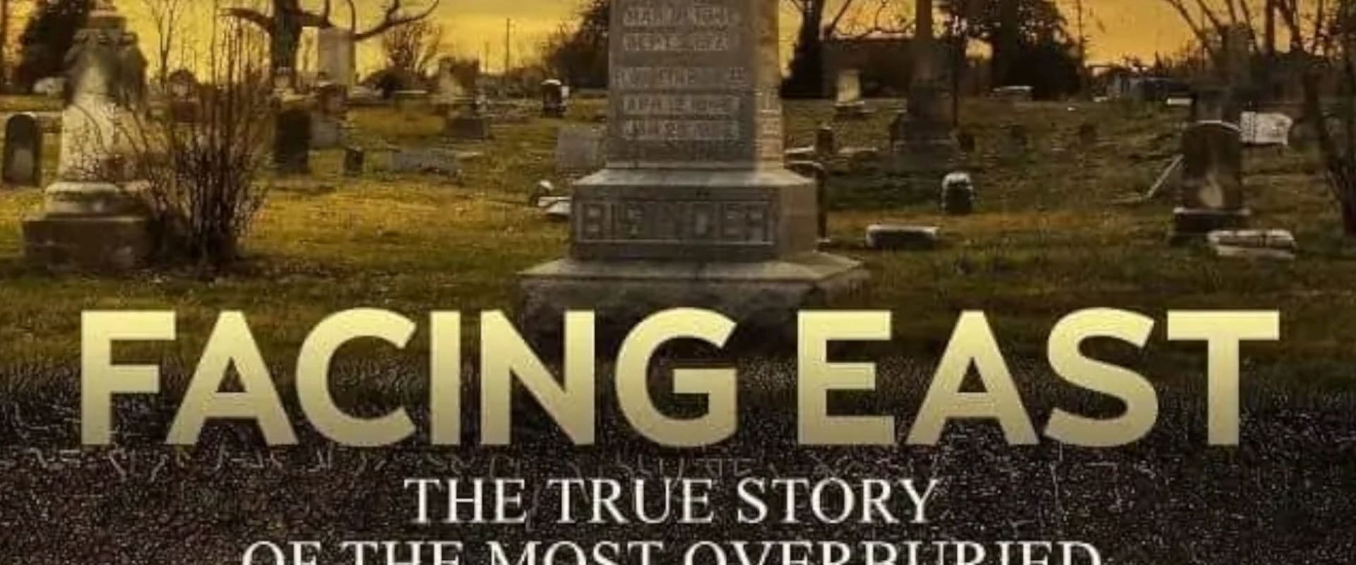 Documentary backdrop image for Facing East (2019)