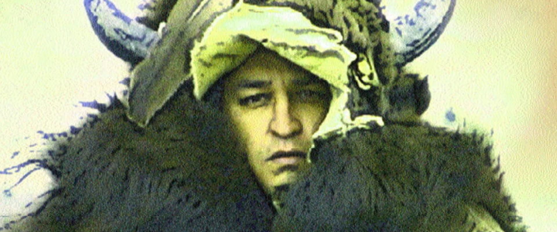 Documentary backdrop image for The Buffalo War (2001)