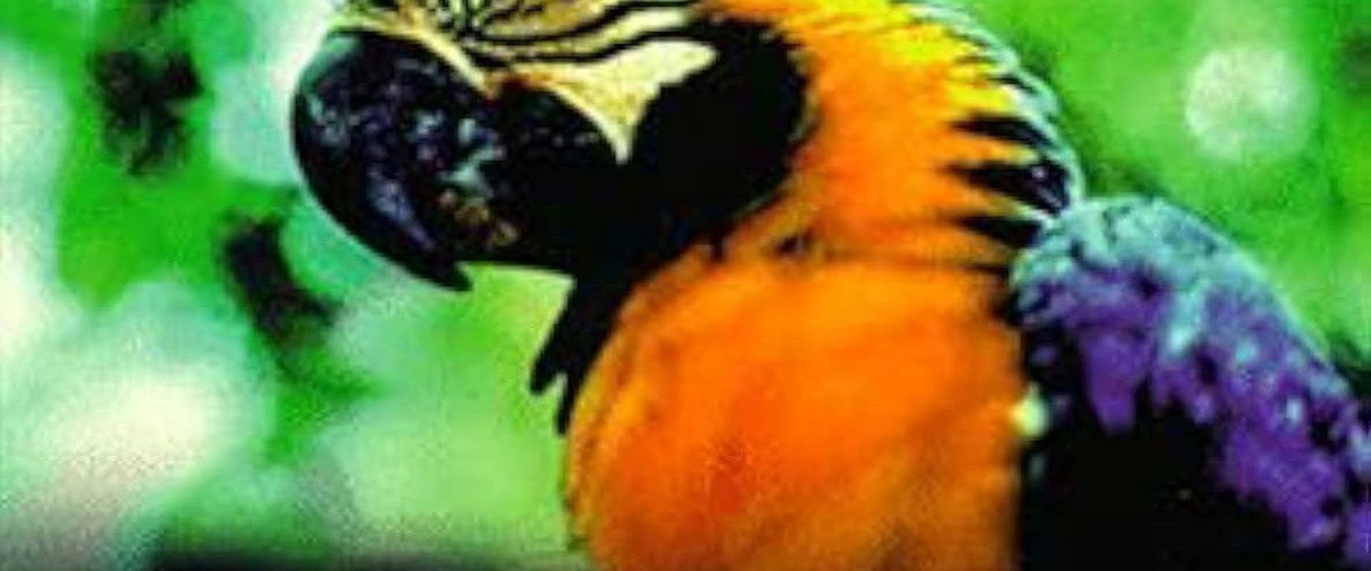 Documentary backdrop image for Manu: Peru's Hidden Rain Forest (1997)