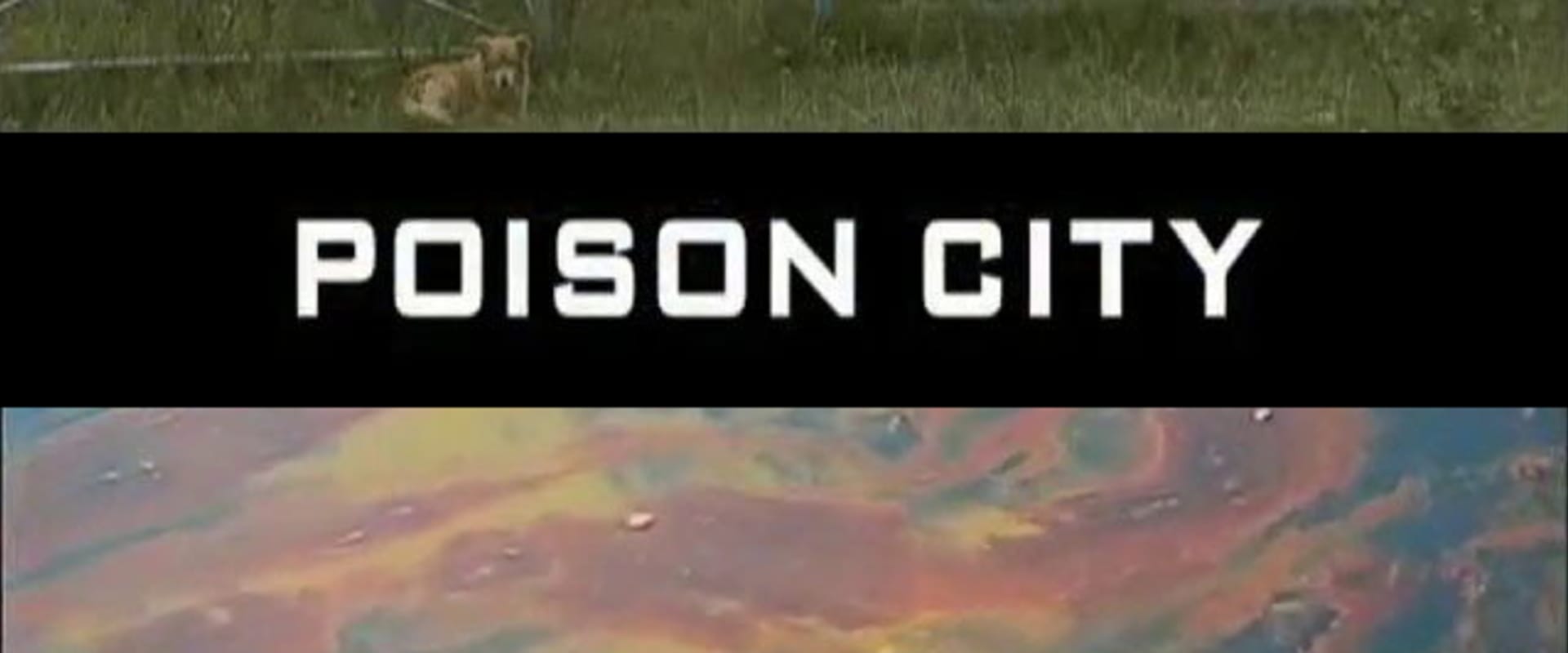 Documentary backdrop image for Poison City (2003)