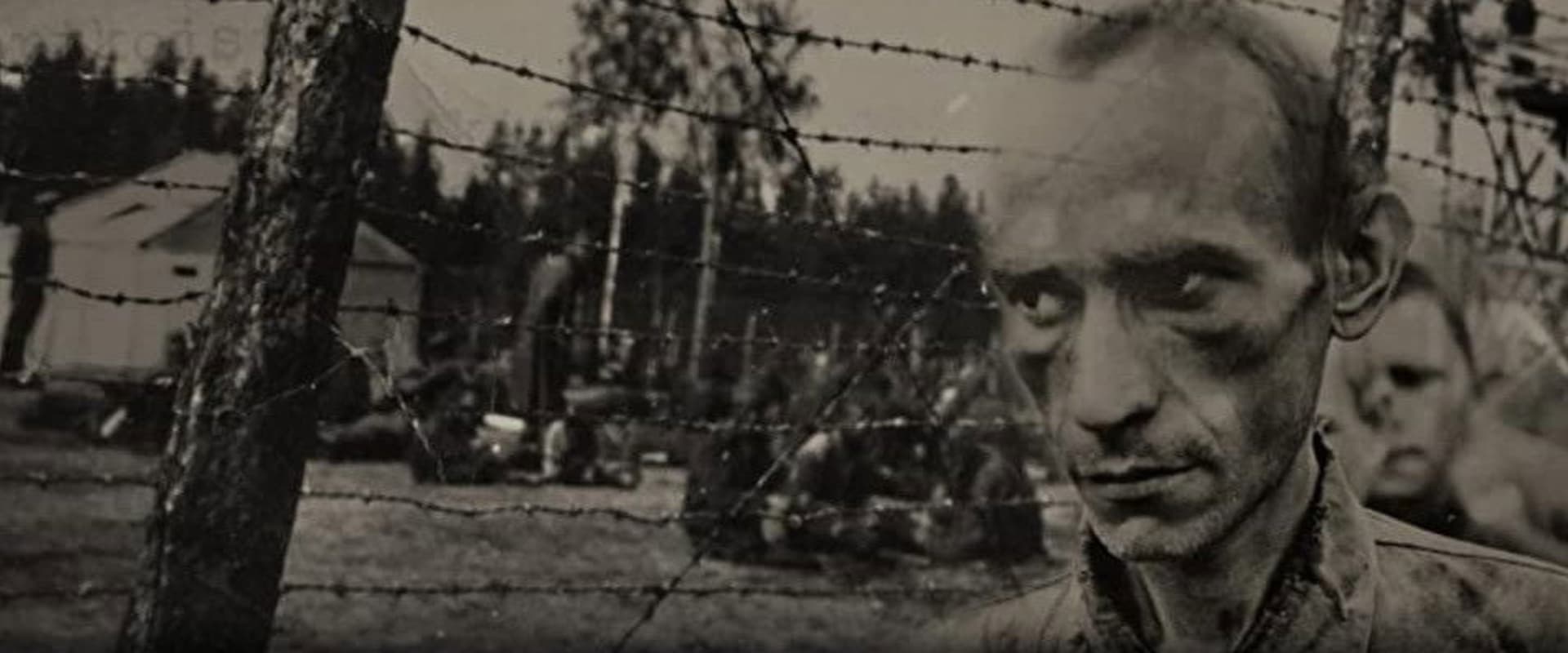 Documentary backdrop image for Frozen Hell (2011)