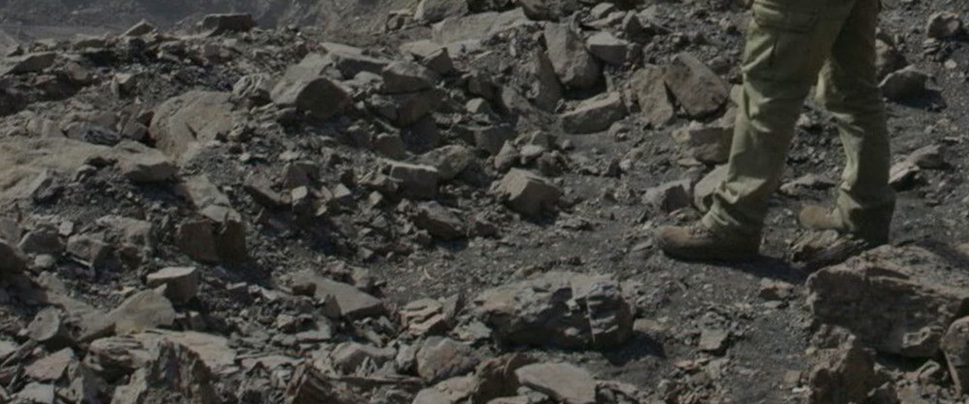 Documentary backdrop image for Naturales Historiae (2019)