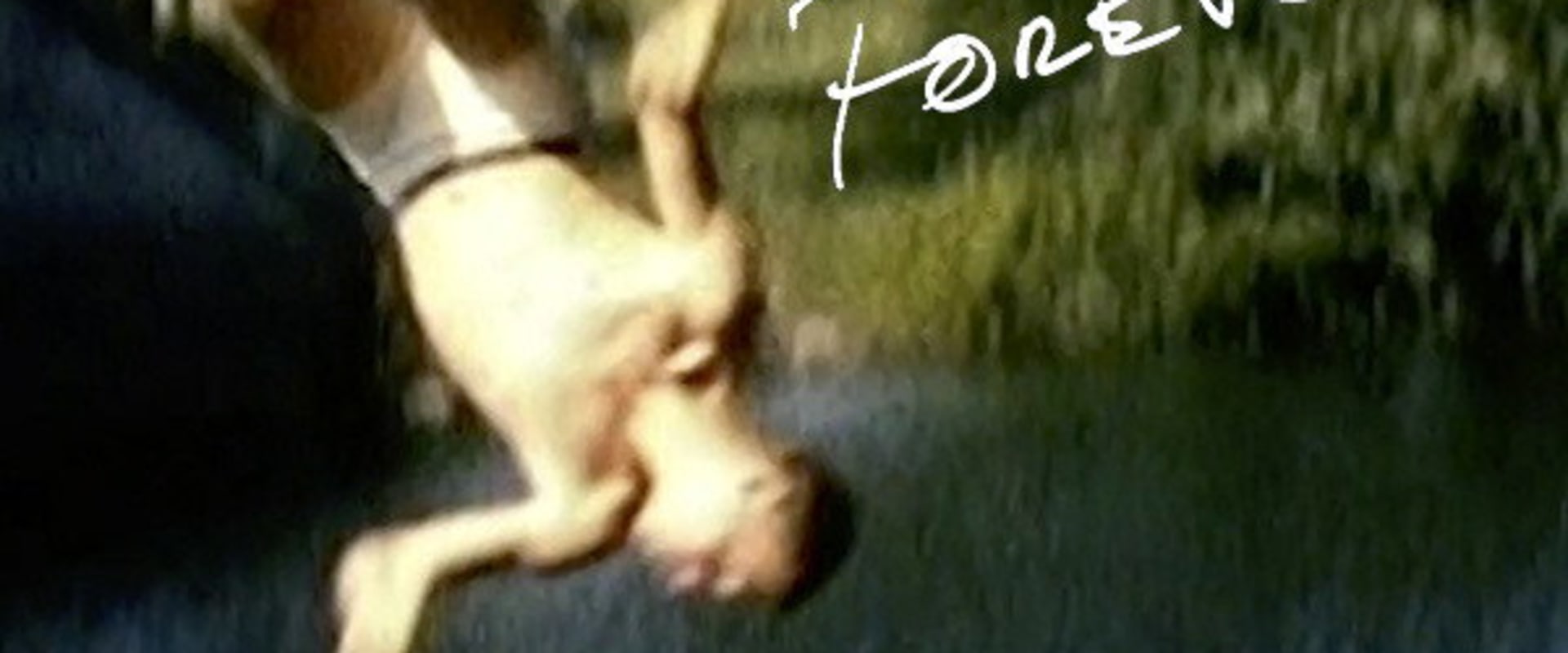 Documentary backdrop image for Strawberry Forever (2020)