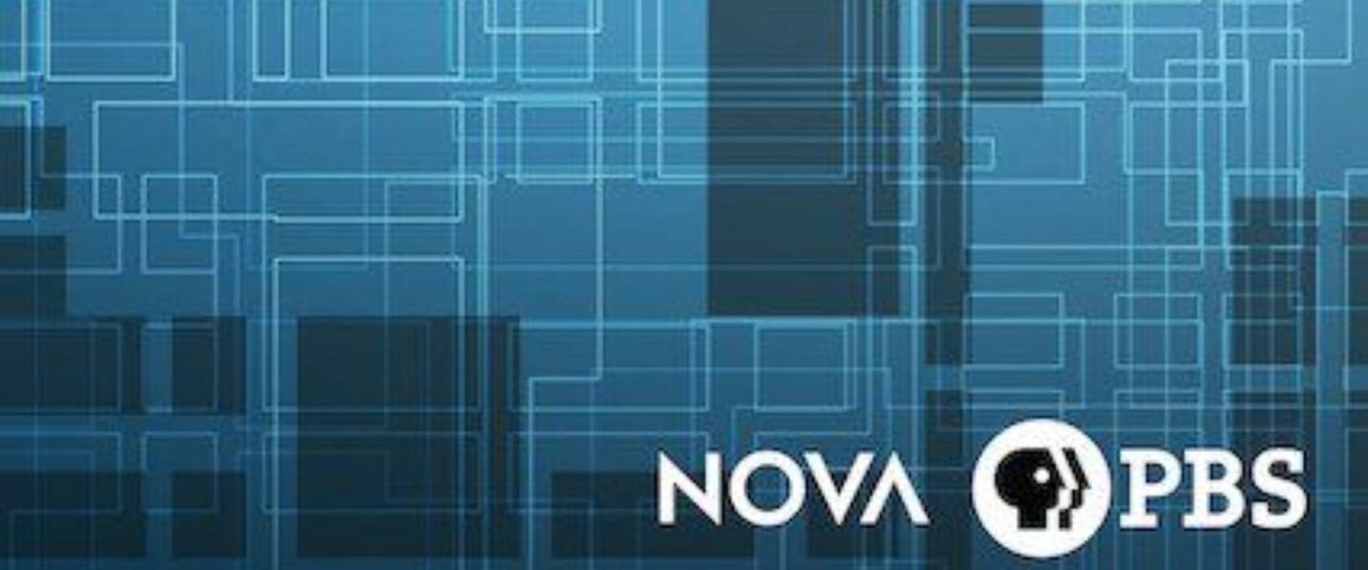 Documentary backdrop image for NOVA: Prediction by the Numbers (2018)