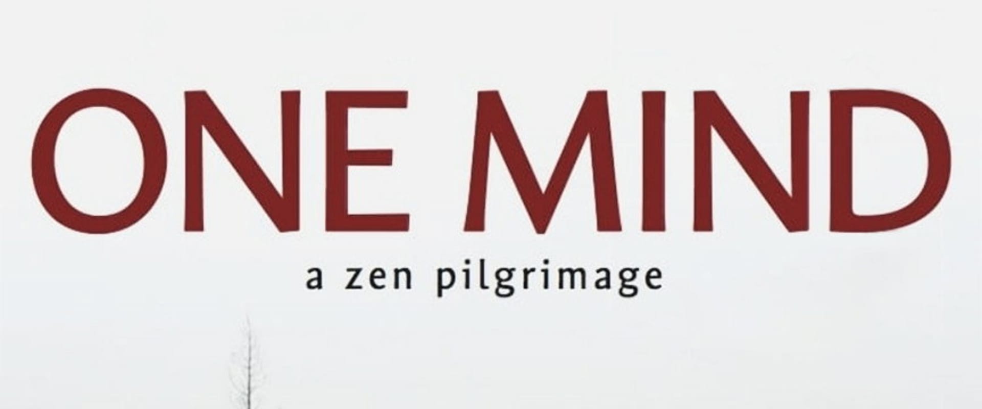 Documentary backdrop image for One Mind: A Zen Pilgrimage (2019)