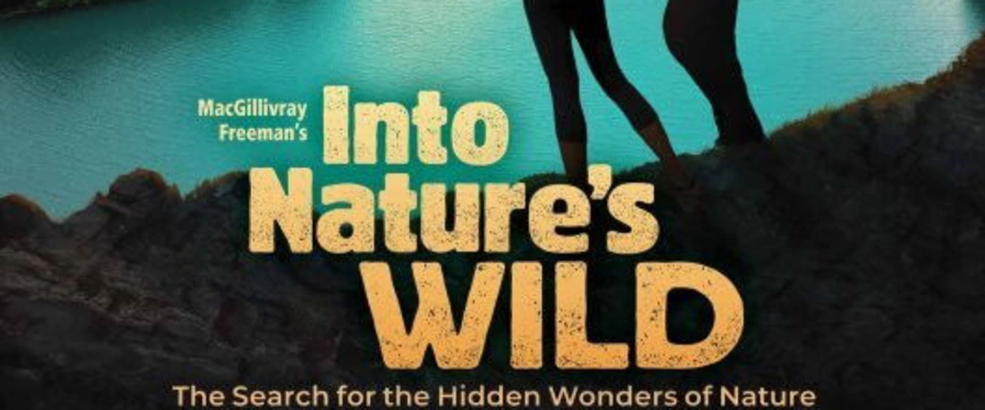 Documentary backdrop image for Into Nature's Wild (2020)