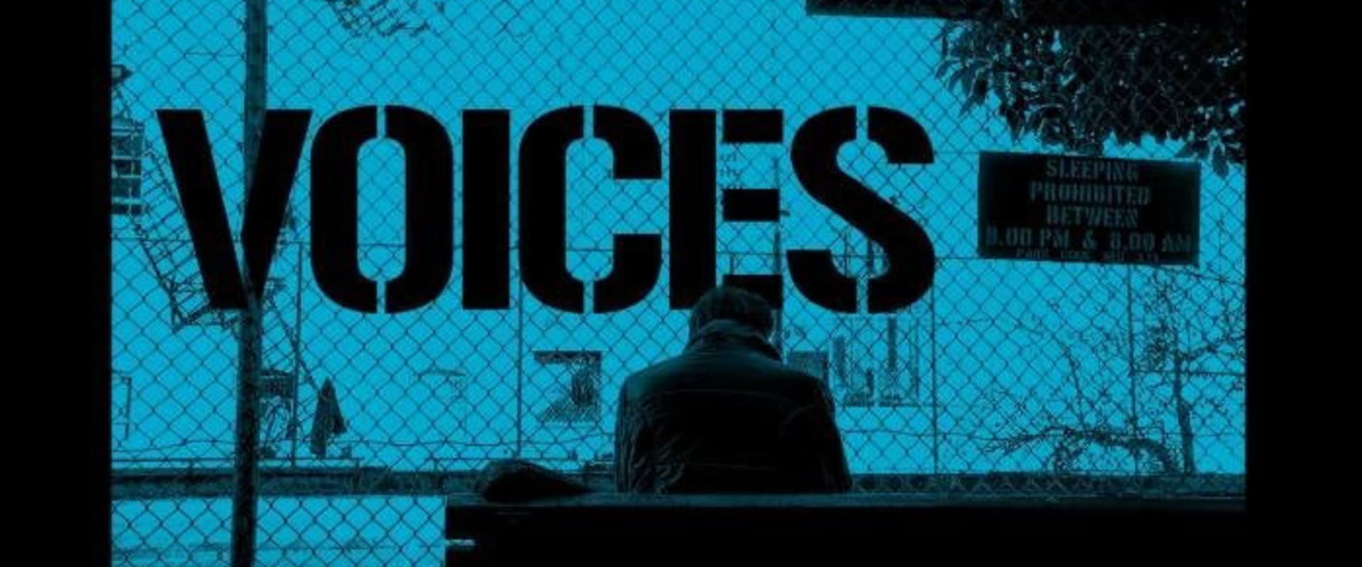 Documentary backdrop image for Voices (2013)