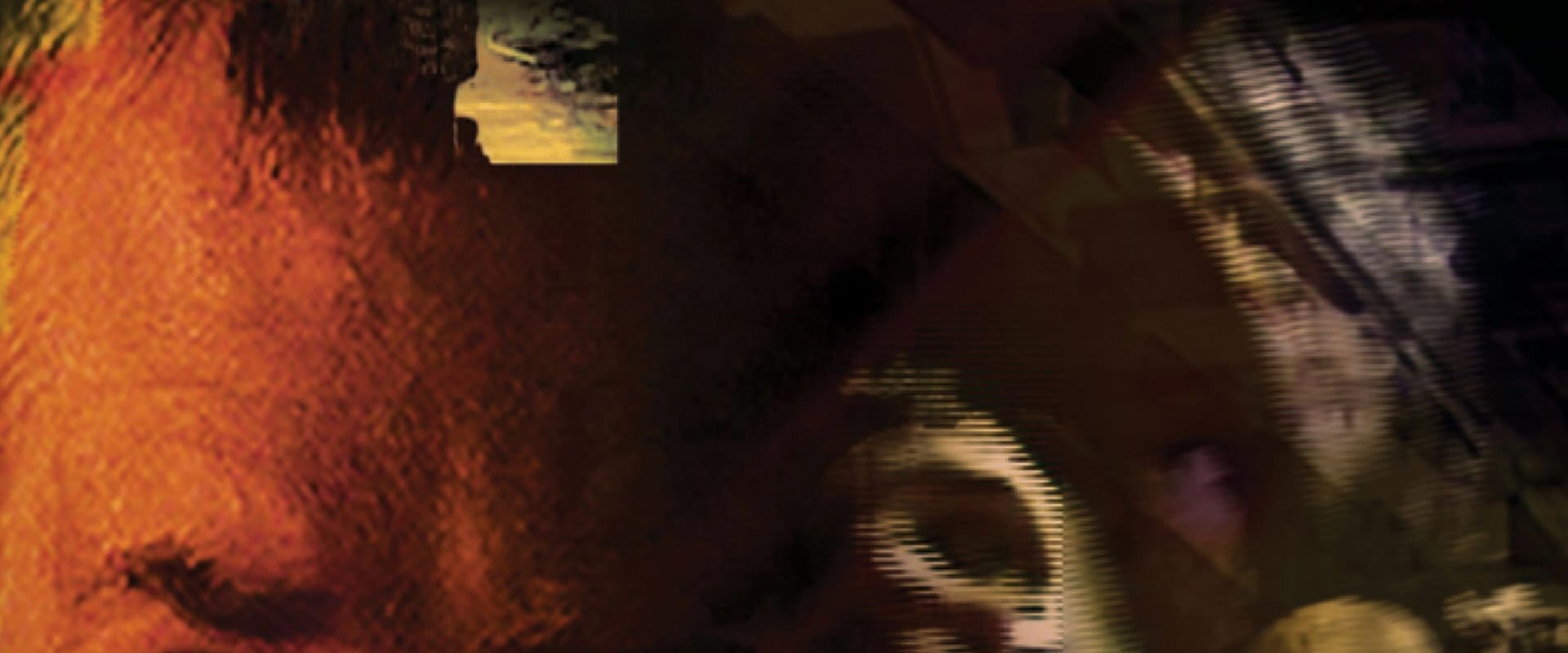 Documentary backdrop image for Fight or Flight (2009)