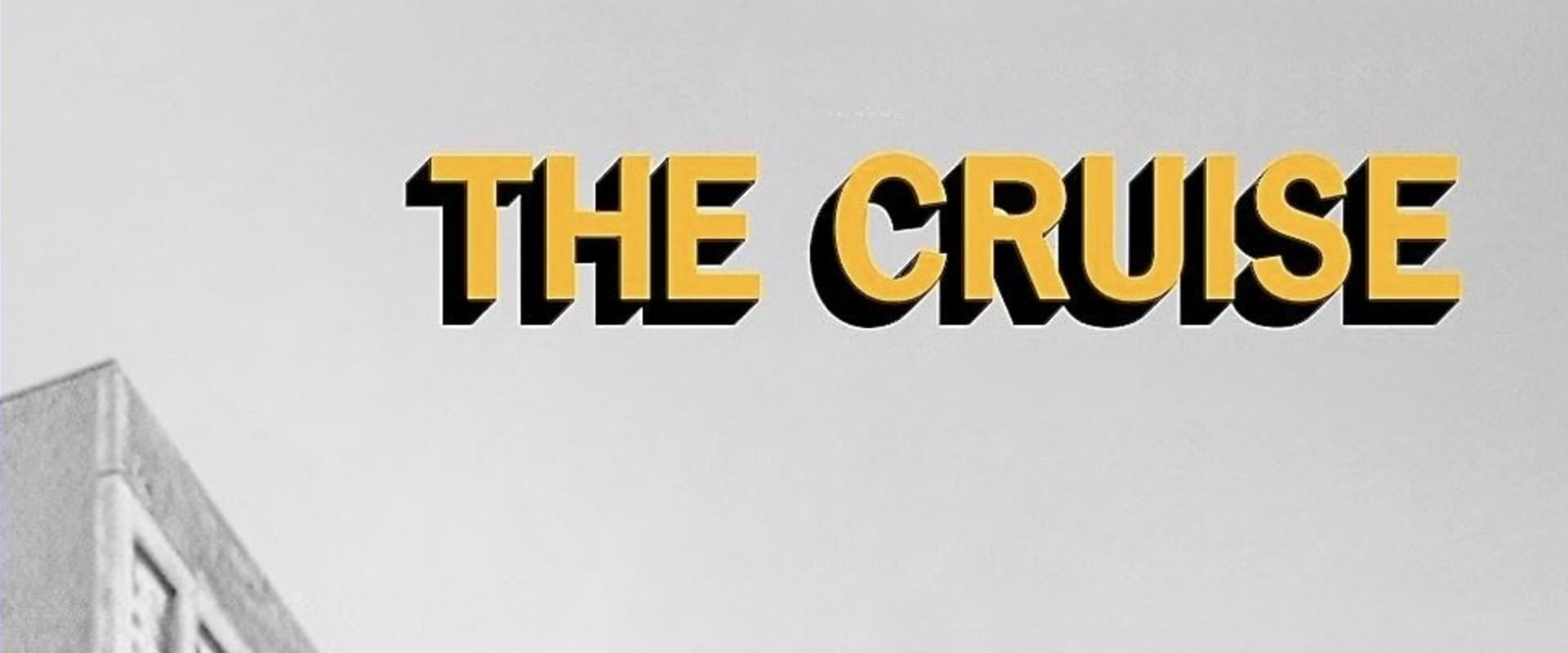 Documentary backdrop image for The Cruise (1998)