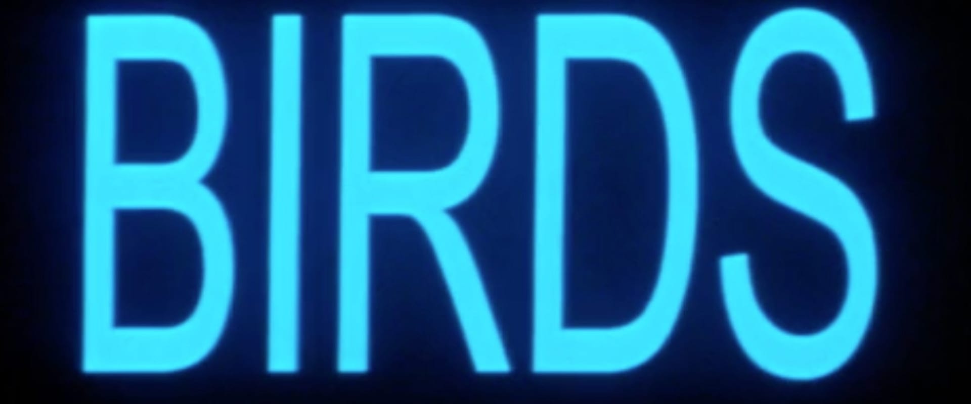 Documentary backdrop image for Birds (2001)