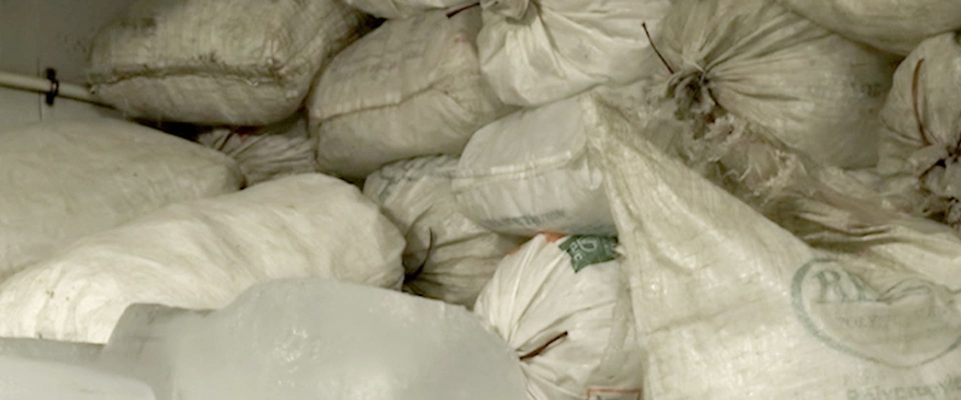 Documentary backdrop image for Moving Ice (2024)