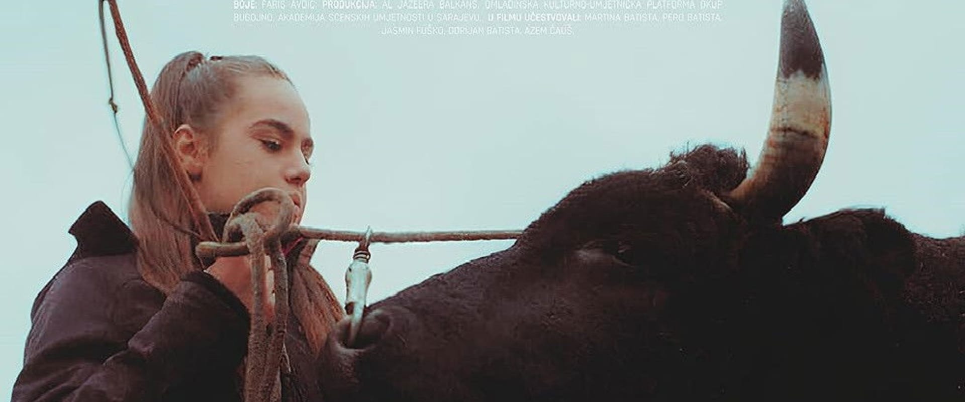 Documentary backdrop image for About a Bull (2024)