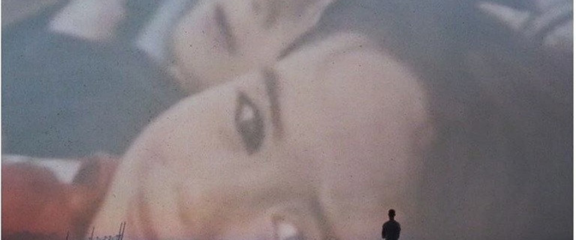 Documentary backdrop image for We Are From There (2022)