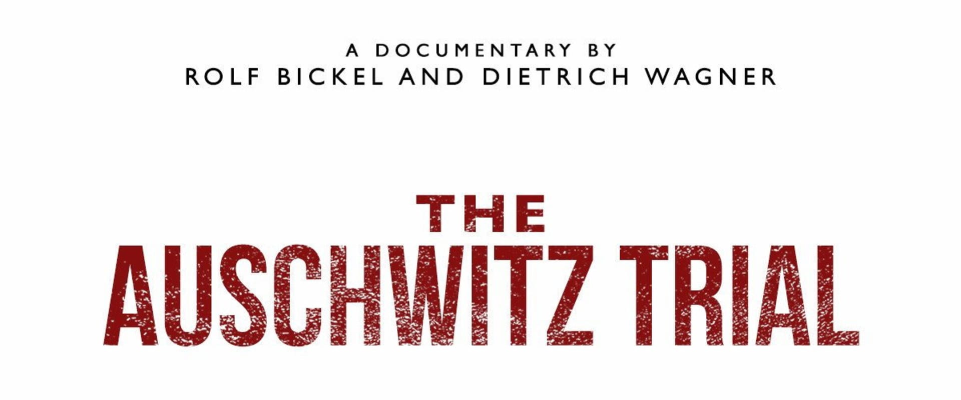 Documentary backdrop image for The Auschwitz Trial (2013)