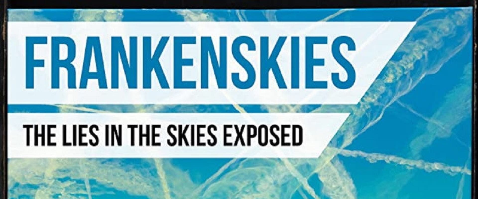 Documentary backdrop image for Frankenskies (2017)
