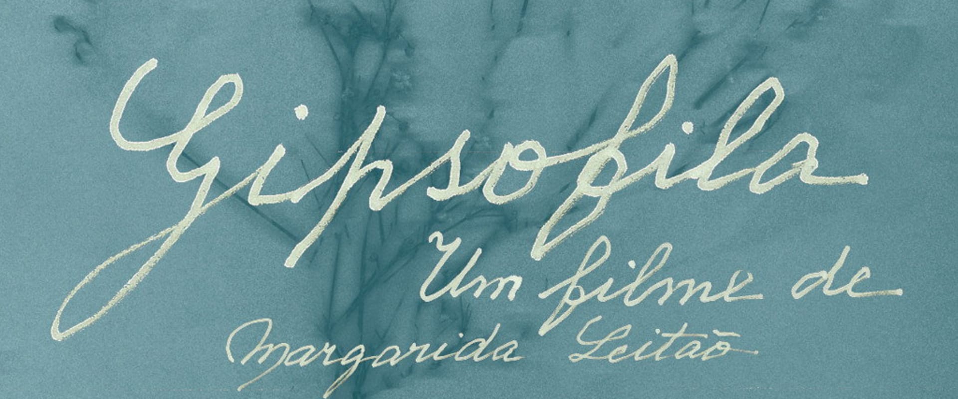Documentary backdrop image for Gypsophila (2015)