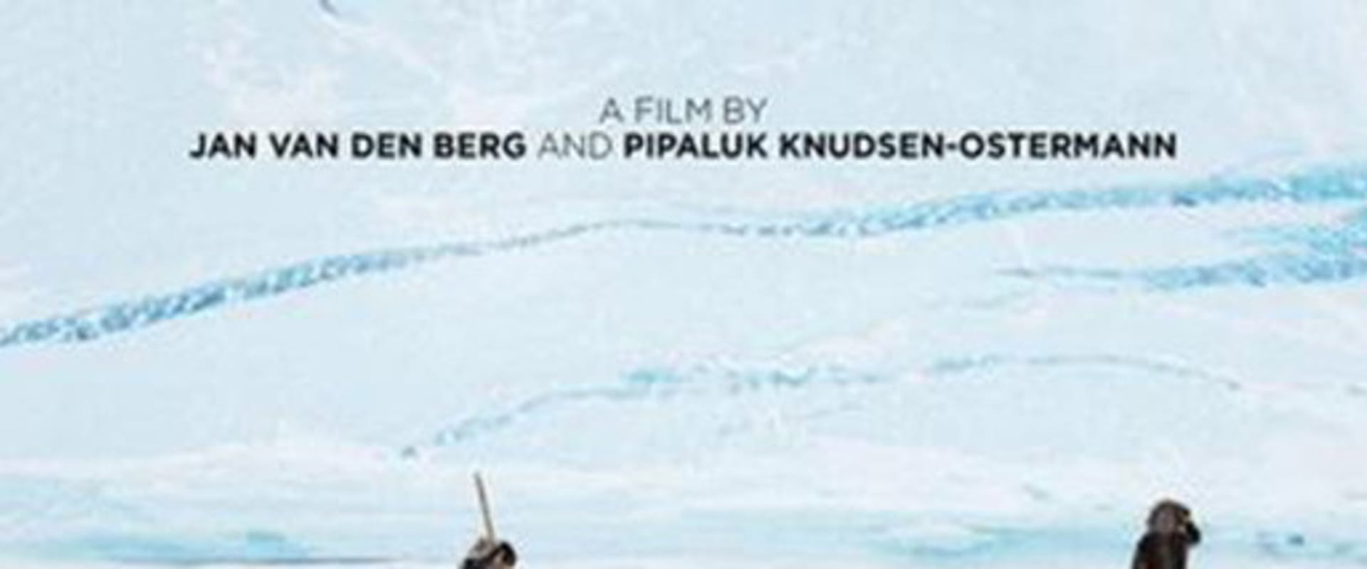 Documentary backdrop image for Silent Snow (2011)