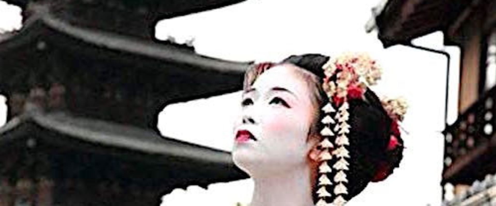 Documentary backdrop image for Central Japan (2014)