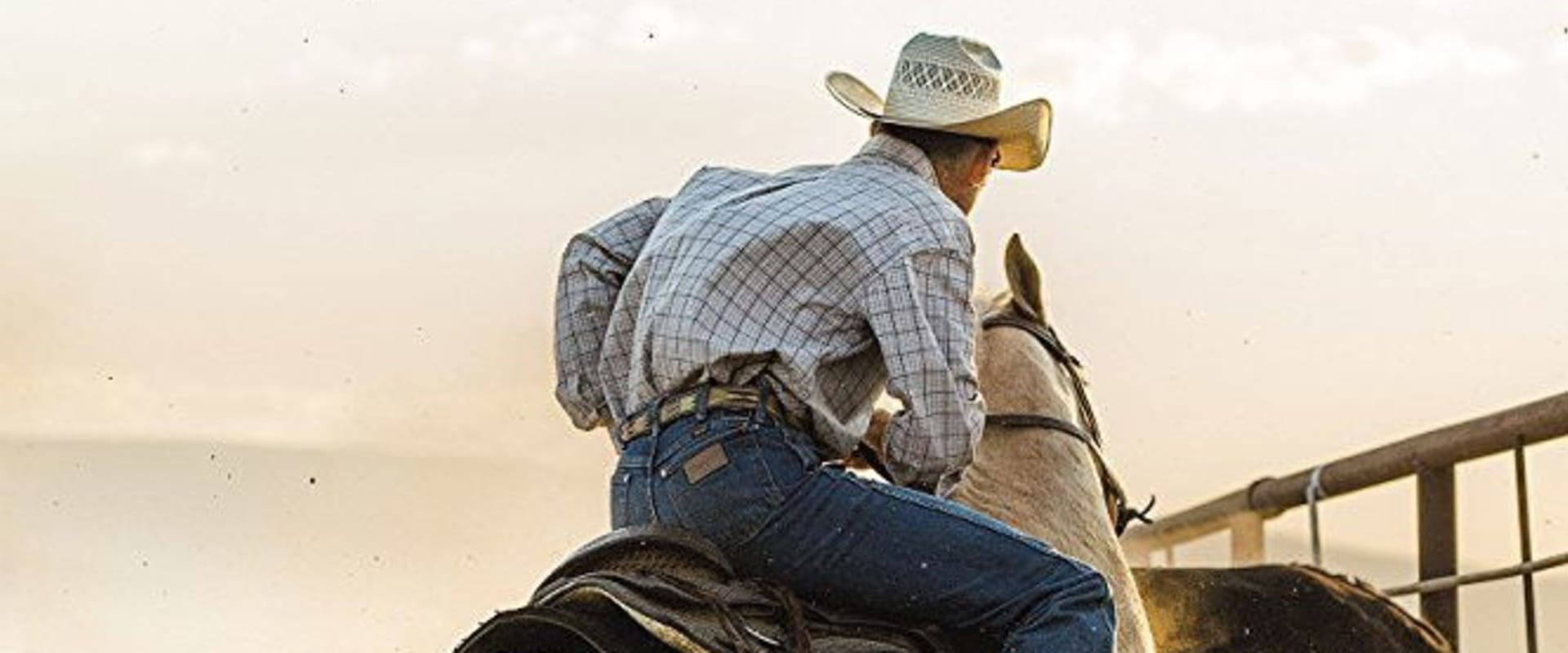 Documentary backdrop image for Down the Fence (2017)