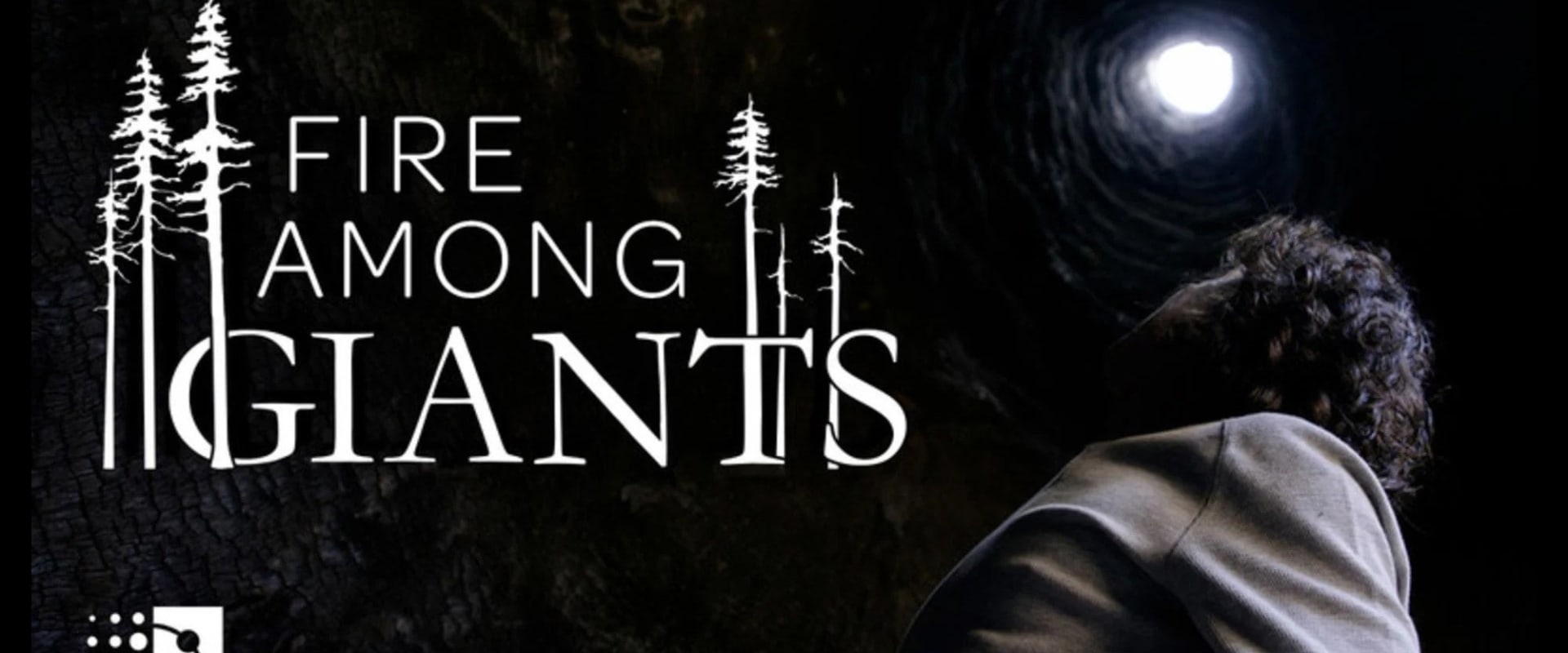 Documentary backdrop image for Fire Among Giants (2022)