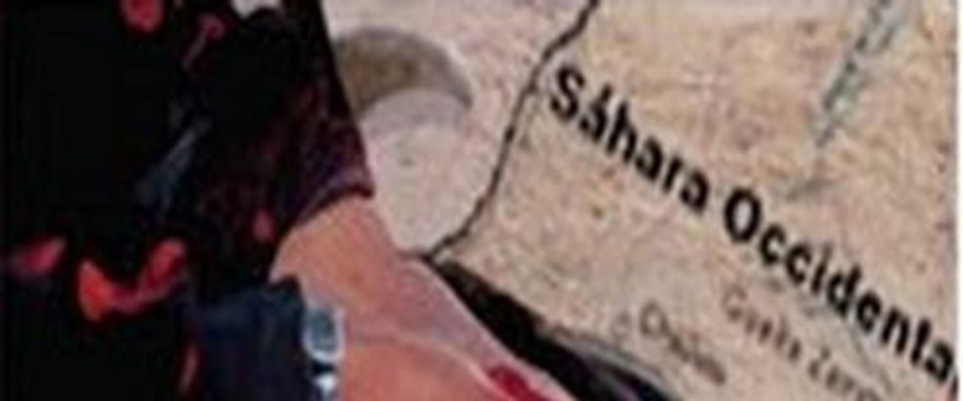 Documentary backdrop image for SADR, justice without war? (2009)