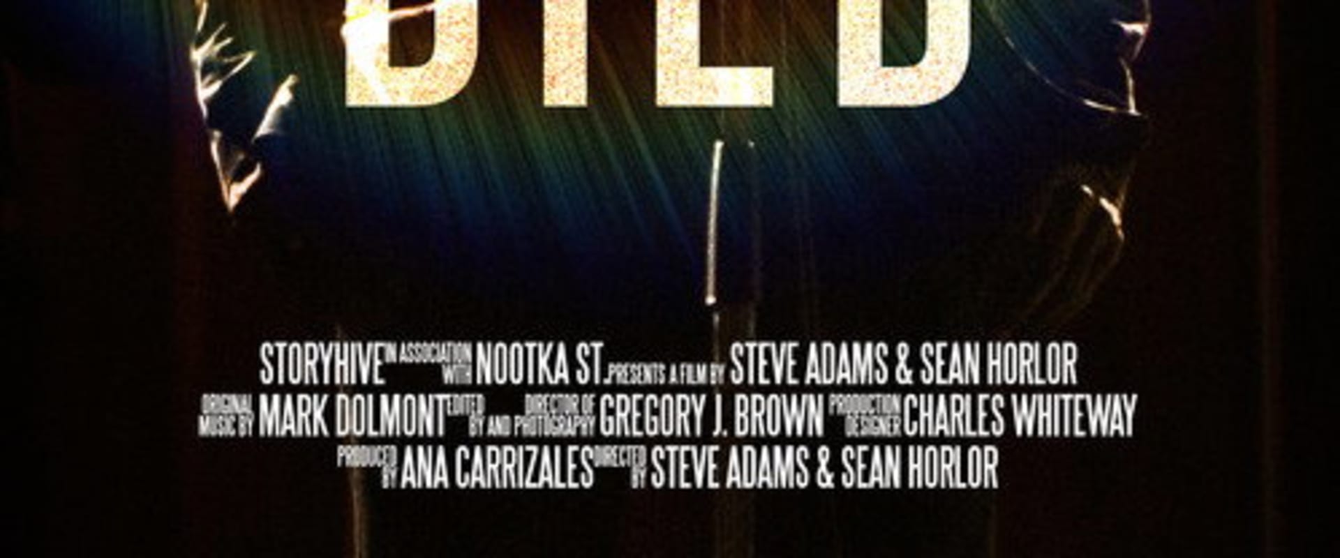 Documentary backdrop image for The Day Don Died (2018)