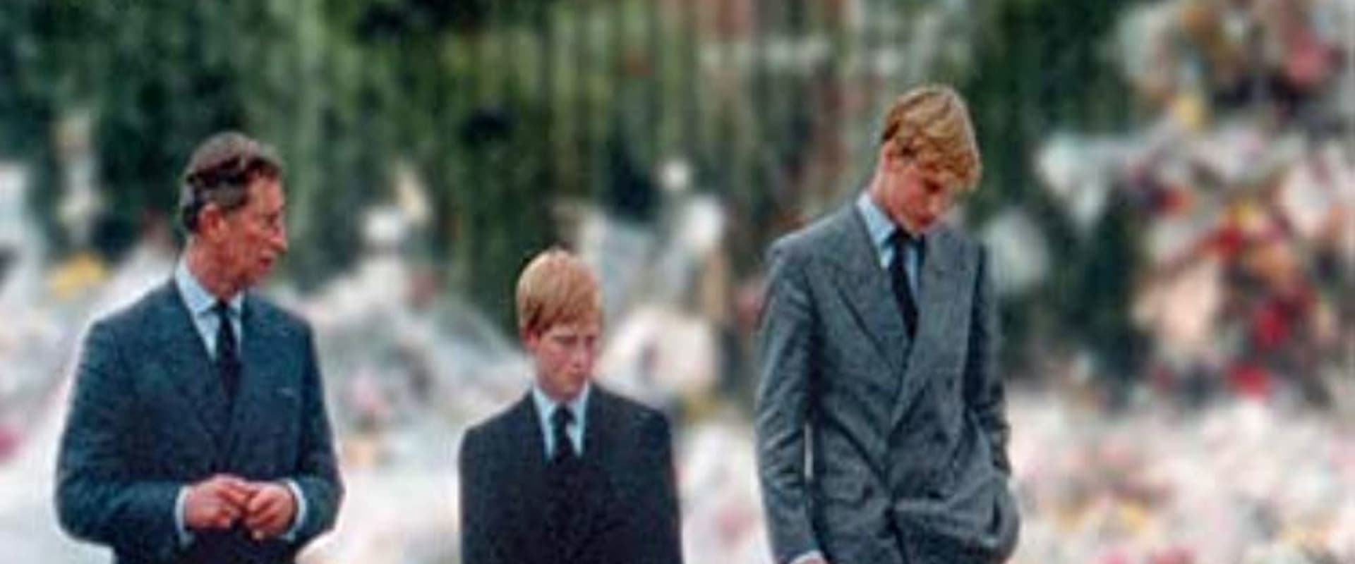Documentary backdrop image for Diana (2017)