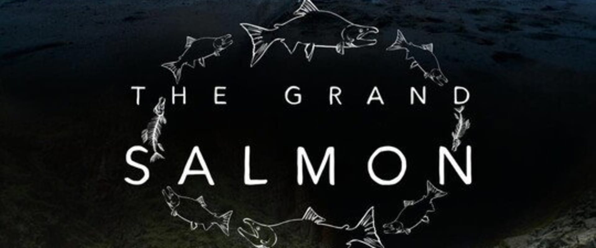 Documentary backdrop image for The Grand Salmon (2025)