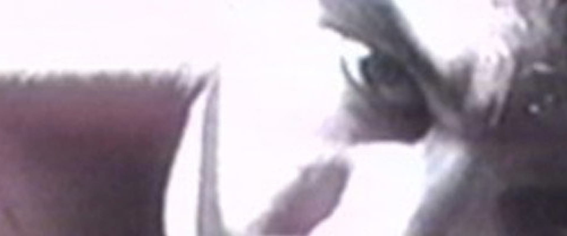 Documentary backdrop image for Water into Fire (1993)