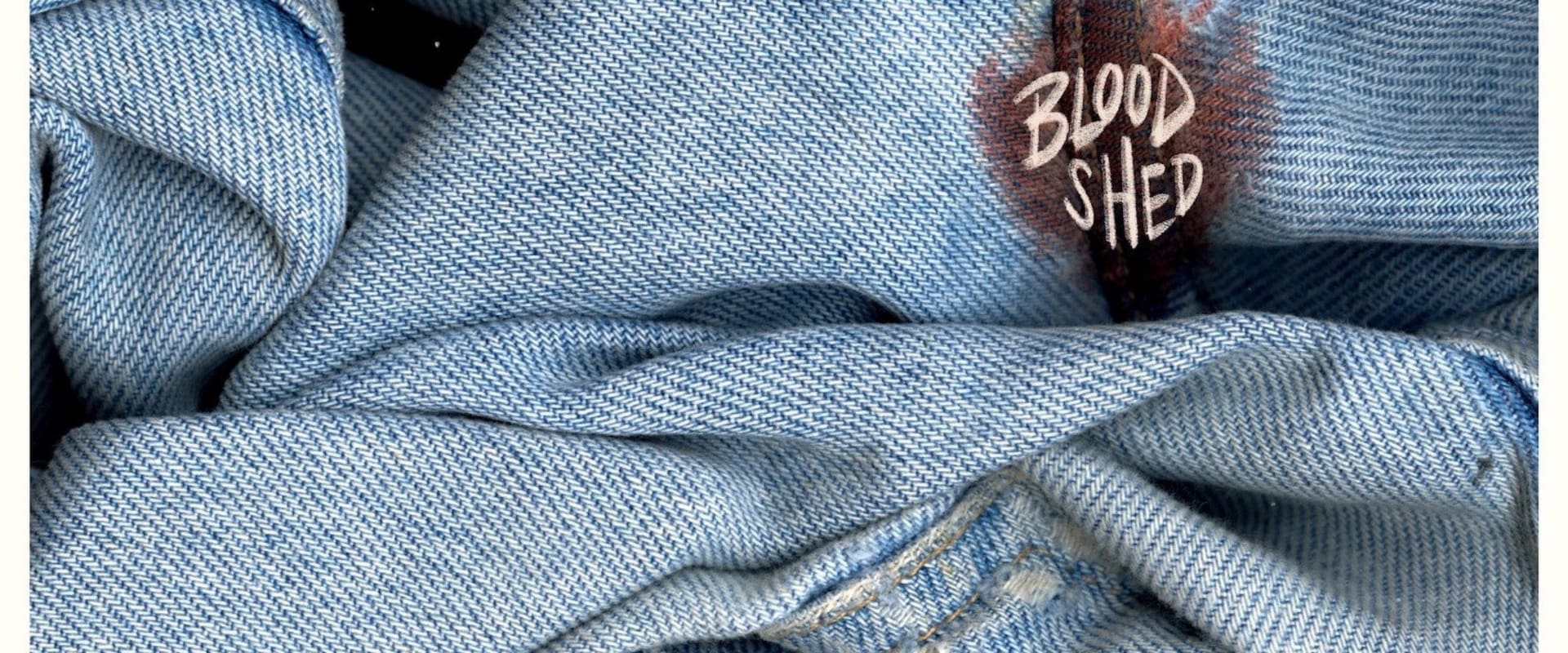 Documentary backdrop image for Bloodshed (2022)