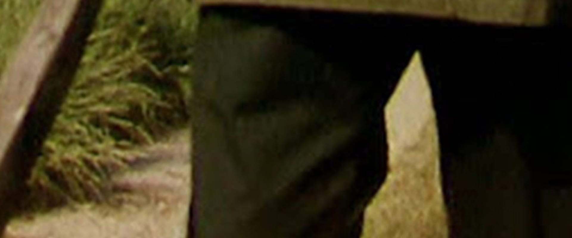Documentary backdrop image for Le Vicinal (1994)