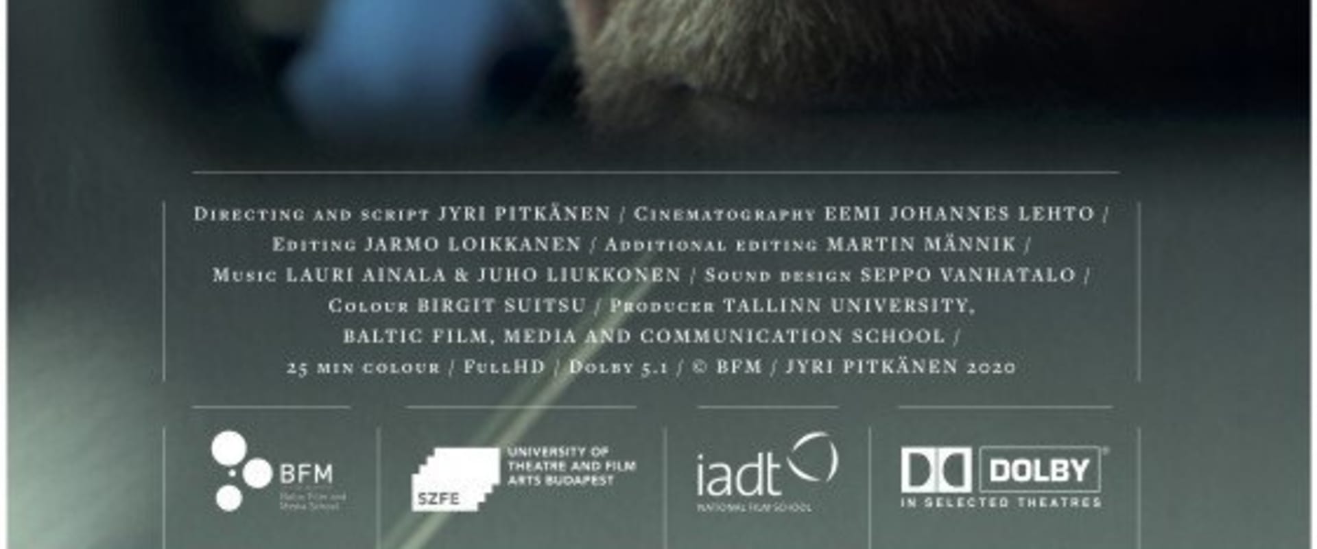 Documentary backdrop image for 12 (2020)