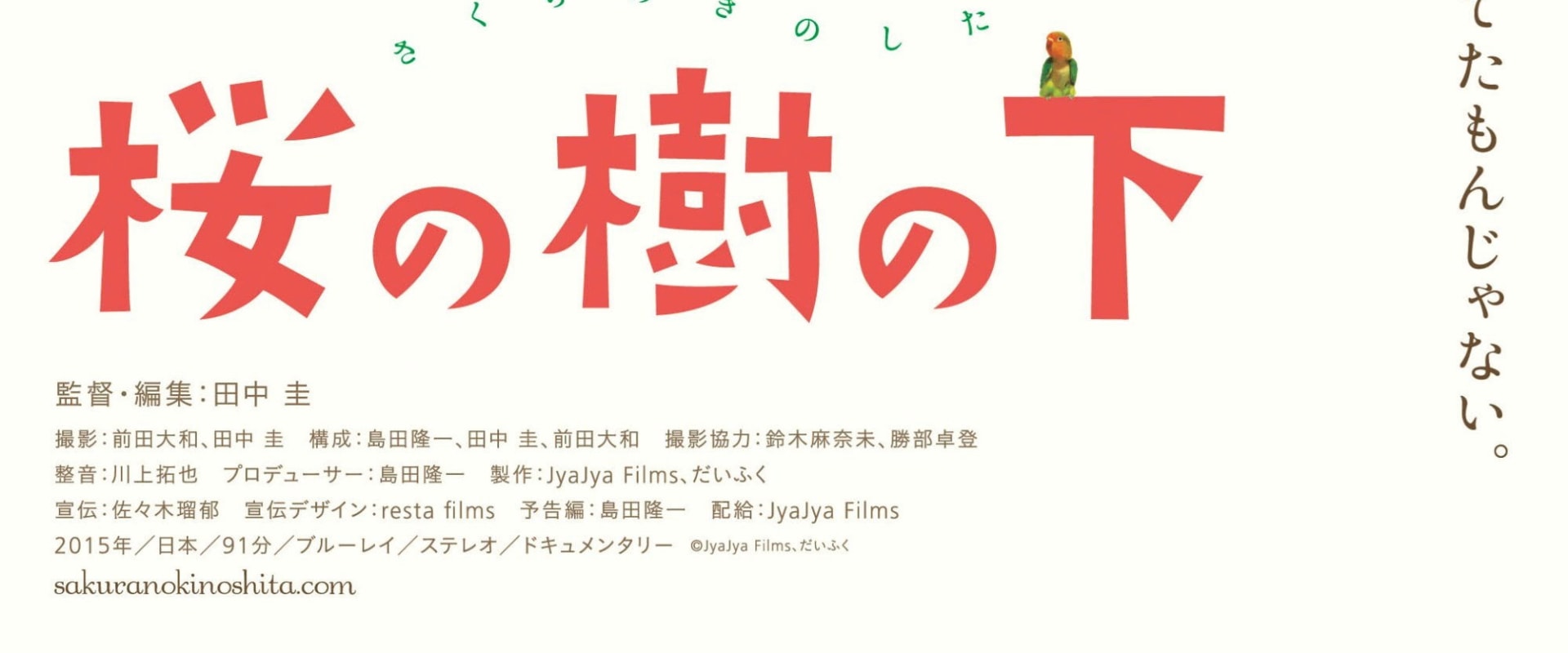 Documentary backdrop image for Under the Cherry Tree (2016)