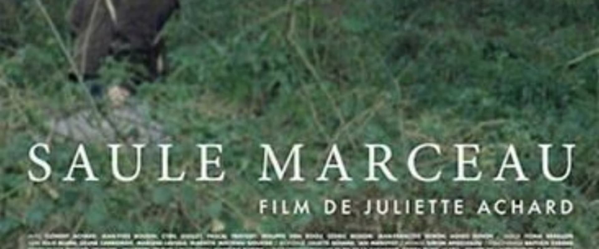 Documentary backdrop image for Saule Marceau (2017)