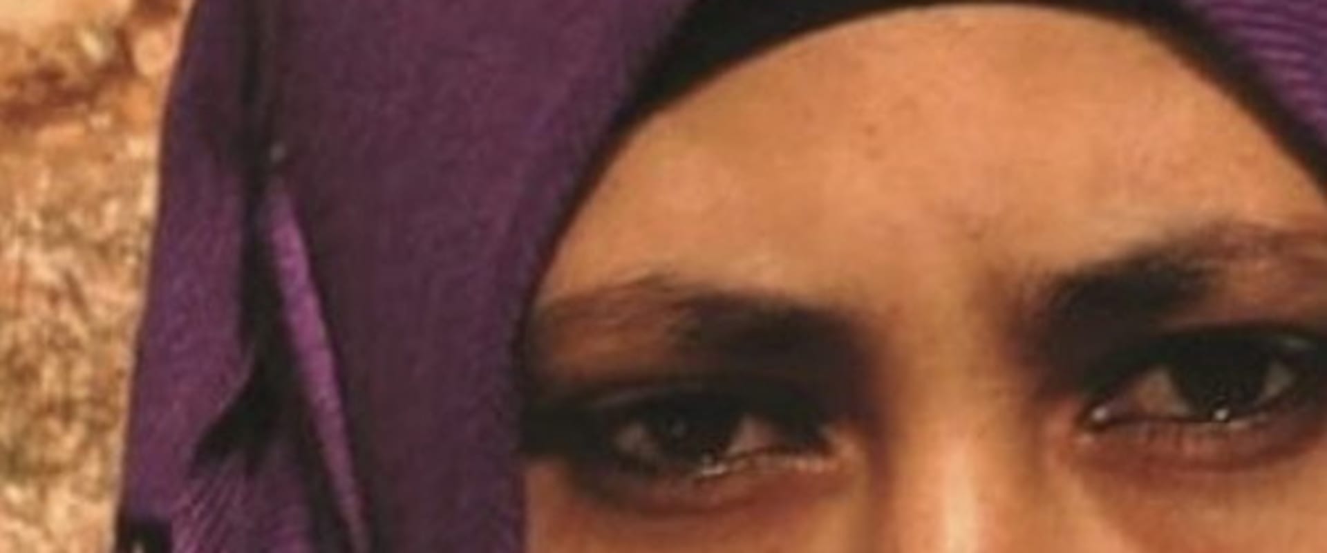 Documentary backdrop image for In the Image (2014)