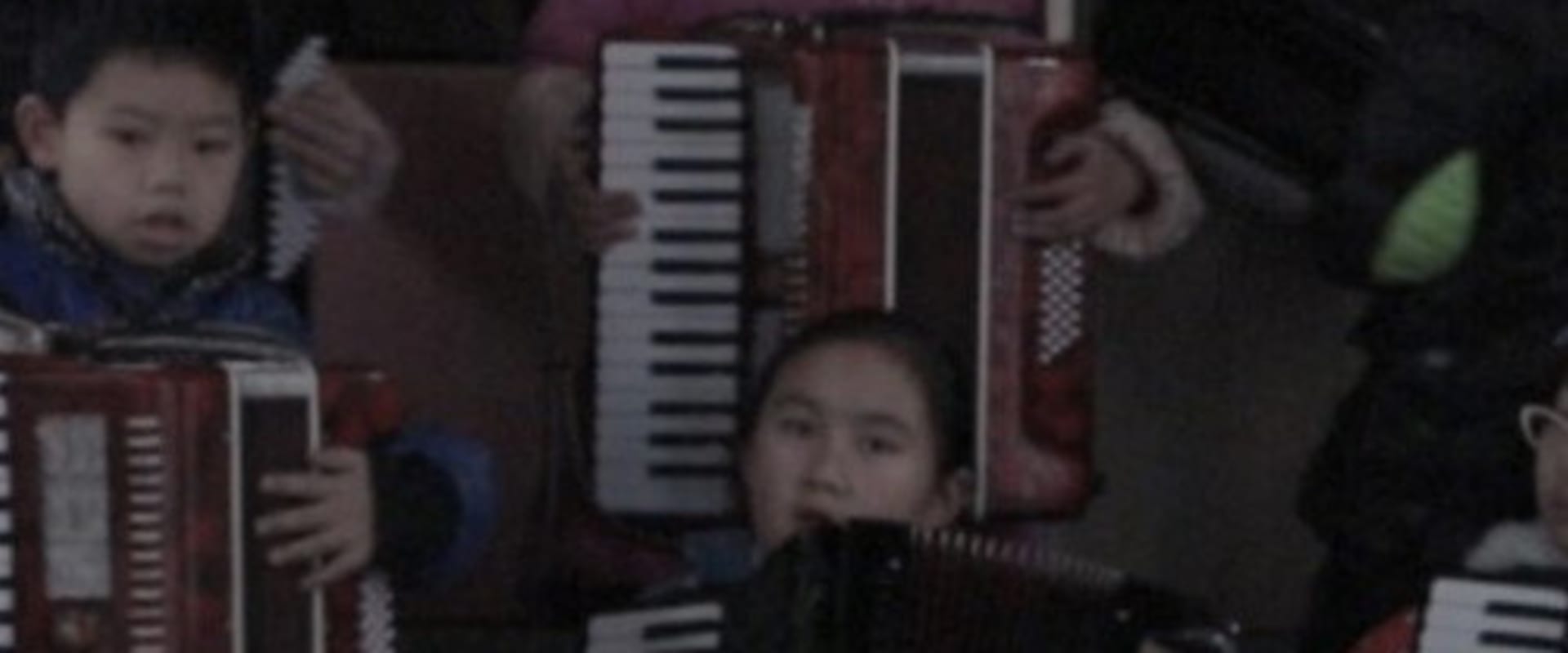 Documentary backdrop image for Accordion Class (2017)