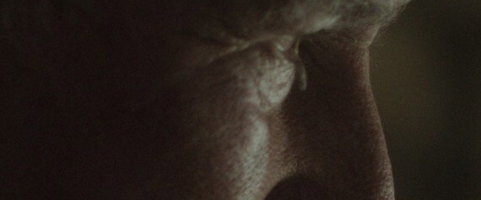 Documentary backdrop image for Vidisova (2021)