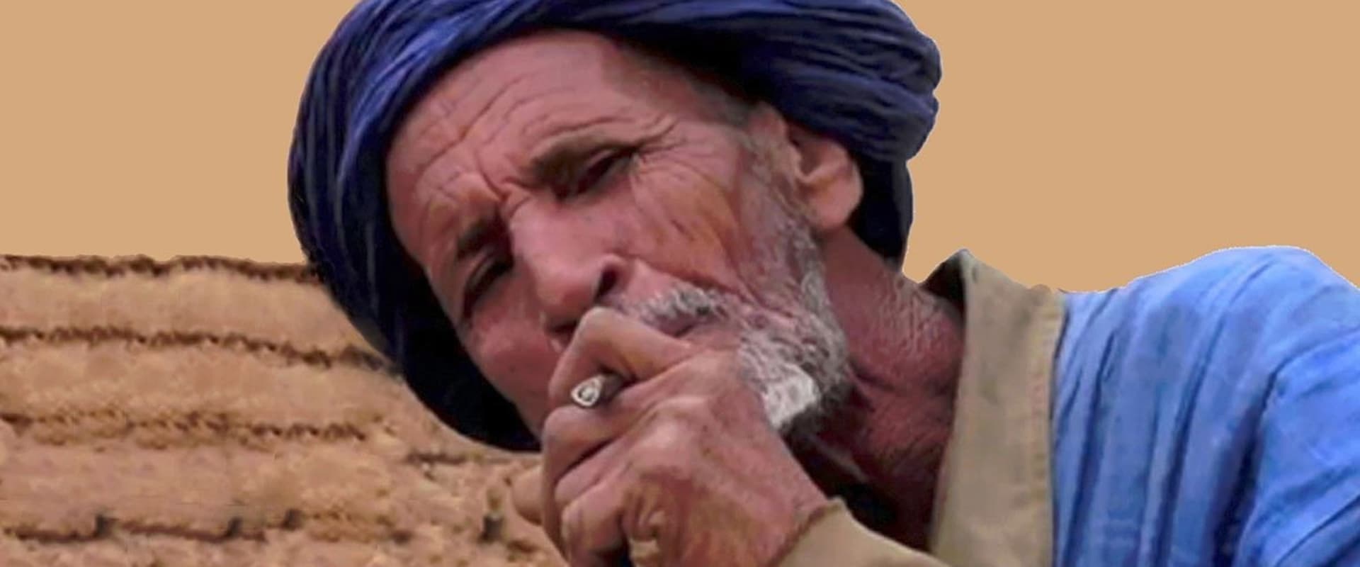 Documentary backdrop image for Jihadists (2016)