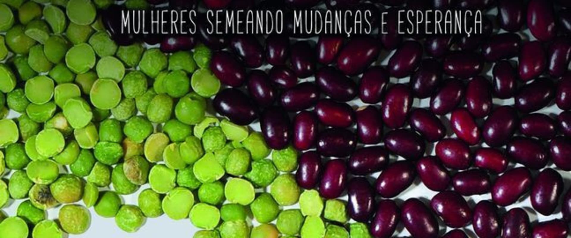 Documentary backdrop image for As Sementes (2015)