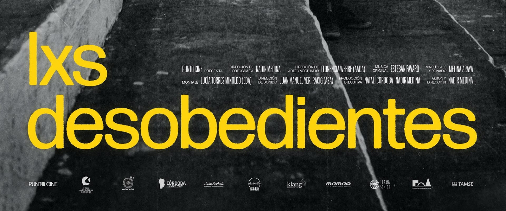 Documentary backdrop image for The Disobedients (2022)