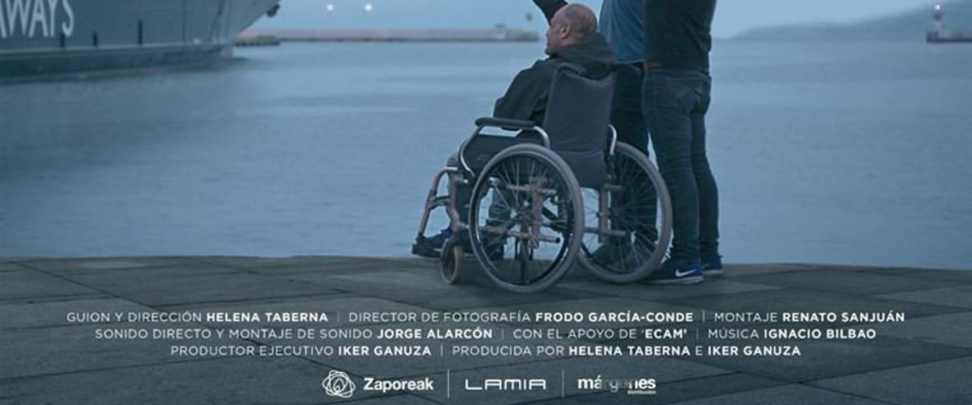 Documentary backdrop image for Standed (2019)