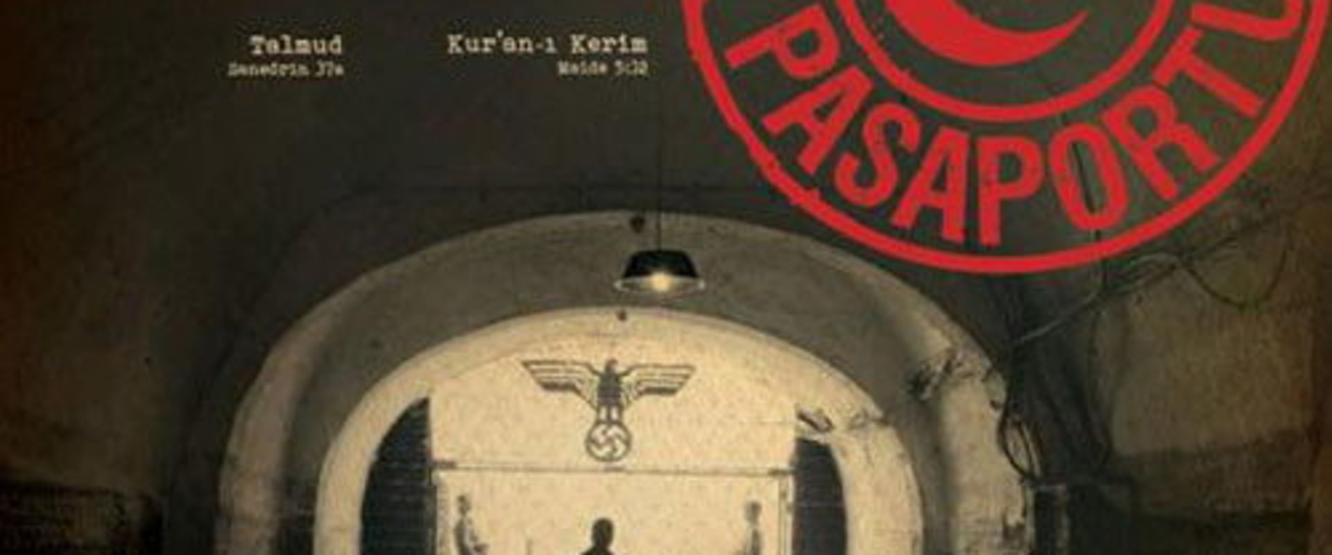 Documentary backdrop image for Turkish Passport (2011)